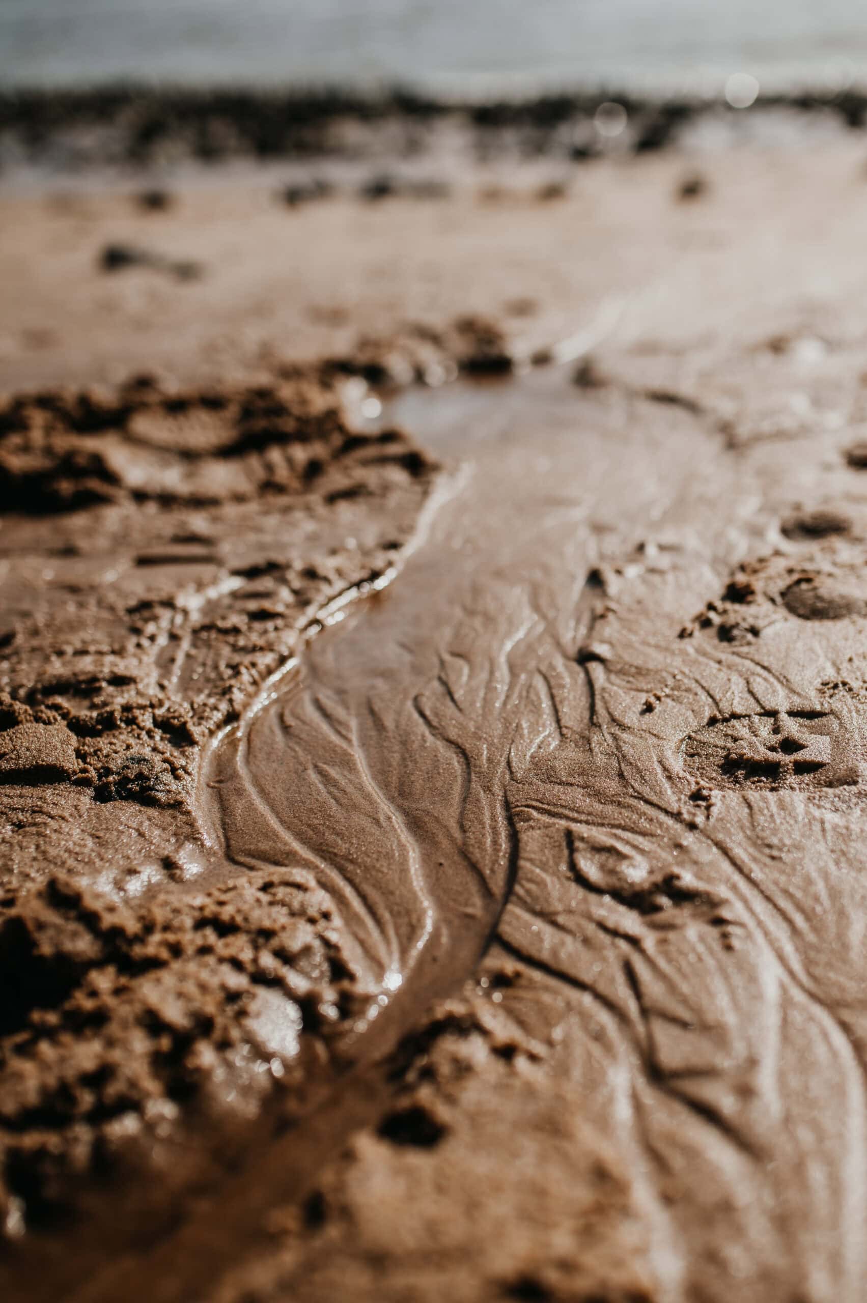 2024_02_29 Freya Rall 9